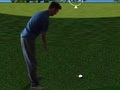 ゲームフラッシュゴルフ3d オンライン