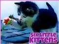 ゲーム6匹の子猫オンライン