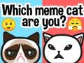 ゲームあなたはどのミームキャットですか？オンライン
