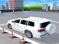 ゲームプラド駐車場 オンライン