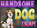 ゲームハンサムな犬の脱出オンライン