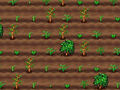 ゲームティーメーカー オンライン