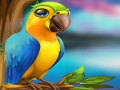 ゲーム小さなオウムの脱出オンライン