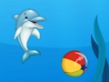 ゲームイルカショー オンライン