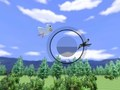 ゲームWiiスポーツ バードウォッチング オンライン