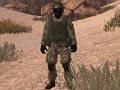 ゲーム祖国の兵士：サハラ オンライン
