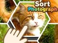 ゲーム写真を整理するオンライン