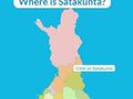 ゲームフィンランドの地域 オンライン