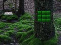 ゲーム閉じ込められた愛鳩の脱出 オンライン