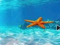 ゲーム水中のヒトデからの脱出 オンライン