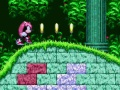 ゲームソニック2のマイティ＆レイ オンライン
