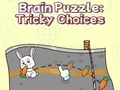 ゲーム頭脳パズル: トリッキーな選択 オンライン