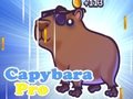 ゲームカピバラプロ オンライン