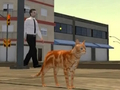 ゲームキャットシティシミュレータ オンライン