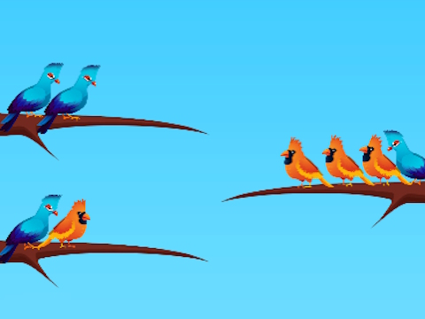 ゲーム鳥の分類 オンライン