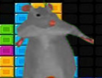 ゲームラトミルトンの落下ブロック オンライン