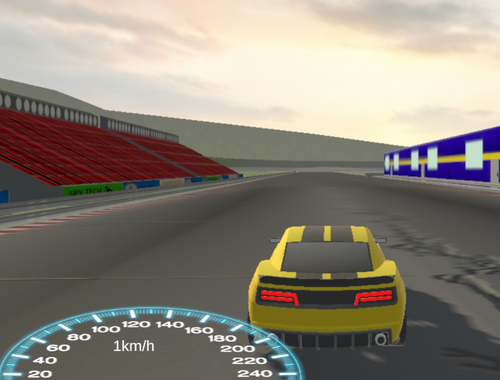 ゲームレースを終えます オンライン