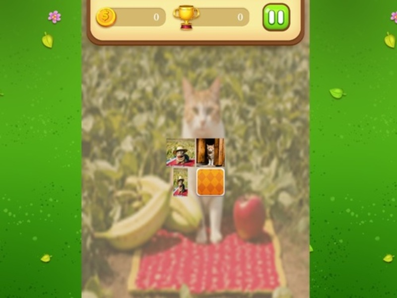 ゲーム農場猫の記憶の一致オンライン