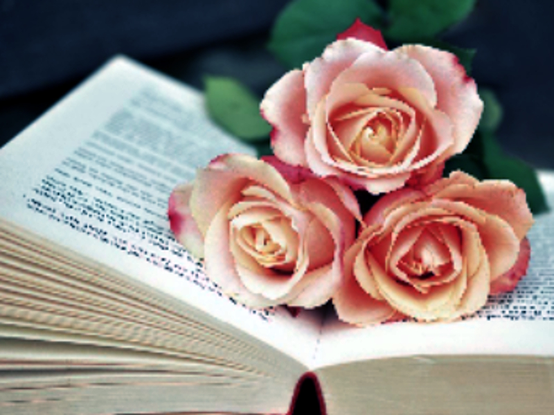 ゲームBook of Blooms Jigsawオンライン
